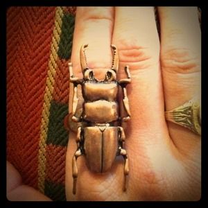 ❌RESERVED❌Stag beetle ring ❌RESERVED❌Stag beetle ring