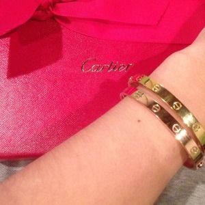 Cartier Love Bracelets Cartier Love Bracelets
