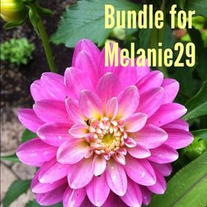 S_519ec733bdb60017dd01e81e