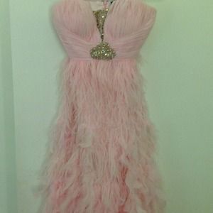 Beautiful pink long dress with feathers. Beautiful pink long dress with feathers.
