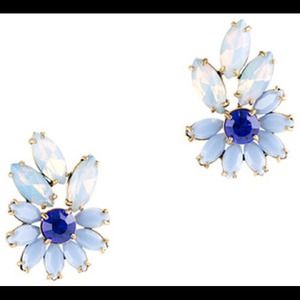 Host PickLulu Frost j. Crew Earrings Host PickLulu Frost j. Crew Earrings