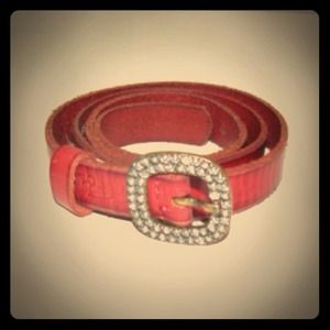 ** HOST PICK ** Fossil Belt ** HOST PICK ** Fossil Belt