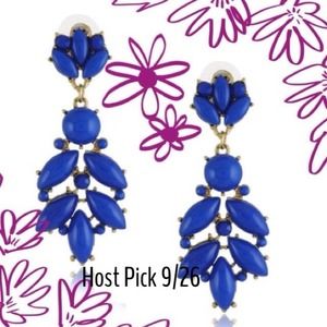 Host PickNWOT Cobalt Blue Statement Earrings Host PickNWOT Cobalt Blue Statement Earrings