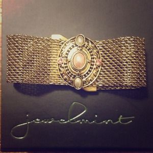 Jewelmint Jewelry - Bronze Chain Link Bracelet Jewelmint Jewelry - Bronze Chain Link Bracelet