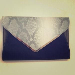 Envelope Clutch Envelope Clutch