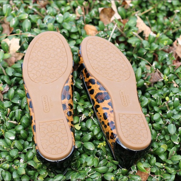 Coach Shoes - ⚡️Sale⚡️ Brand new Coach leopard print flats 3 Coach Shoes - ⚡️Sale⚡️ Brand new Coach leopard print flats 3