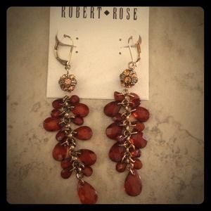 HOST PICKDangly Earrings HOST PICKDangly Earrings