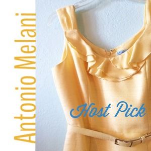 Antonio Melani Dresses & Skirts - Sale! Antonio Melani Ruffle Dress HP 1/15 Antonio Melani Dresses & Skirts - Sale! Antonio Melani Ruffle Dress HP 1/15