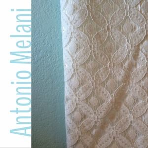 Antonio Melani Dresses & Skirts - Sale! Antonio Melani Lace Skirt Antonio Melani Dresses & Skirts - Sale! Antonio Melani Lace Skirt