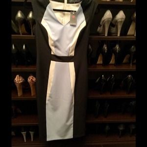 NWT! Classic Dorothy Perkins color block dress! NWT! Classic Dorothy Perkins color block dress!