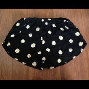 Brandy Melville Daisy Taylor Shorts Brandy Melville Daisy Taylor Shorts