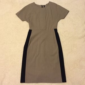 W118 by Walter Baker Tan & Black Shift Dress W118 by Walter Baker Tan & Black Shift Dress