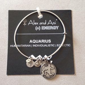 Alex & Ani Jewelry - Alex and Ani Aquarius bracelet in silver color Alex & Ani Jewelry - Alex and Ani Aquarius bracelet in silver color