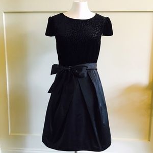 Ive $ Blu Dresses & Skirts - Velvet leopard nylon skirt block party dress Ive $ Blu Dresses & Skirts - Velvet leopard nylon skirt block party dress