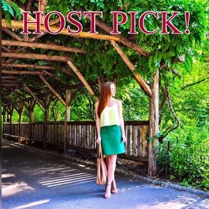 ❤️HOST PICK!❤️ Zara Green A-Line Skirt ❤️HOST PICK!❤️ Zara Green A-Line Skirt
