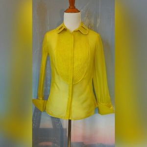 BEAUTIFUL SHEER SILK BLOUSE BEAUTIFUL SHEER SILK BLOUSE