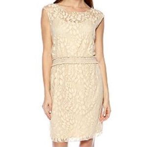 Sophie Max Dresses & Skirts - Sophie Max lace dress. Sophie Max Dresses & Skirts - Sophie Max lace dress.
