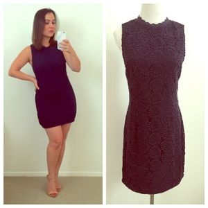 Dolce Vita Dresses & Skirts - Dolce Vita Navy Blue Crochet Mini Dress Dolce Vita Dresses & Skirts - Dolce Vita Navy Blue Crochet Mini Dress