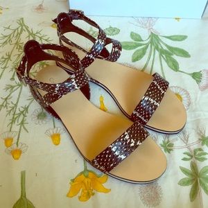 Calvin Klein Shoes - Calvin Klein Carolina Sandals Calvin Klein Shoes - Calvin Klein Carolina Sandals