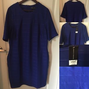 NWT Dorothy Perkins Royal Blue Bandage Dress US16 NWT Dorothy Perkins Royal Blue Bandage Dress US16