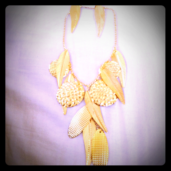 Fringe Necklace with a pair of earings.