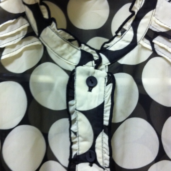 POLKA - Picture 2 of 4