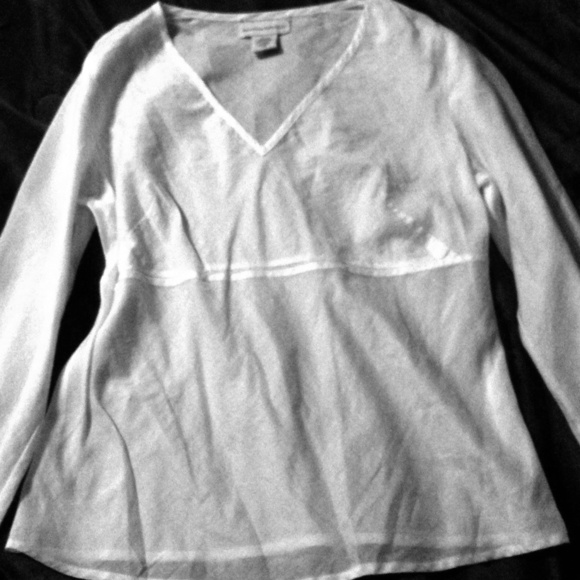 Banana republic sheer top
