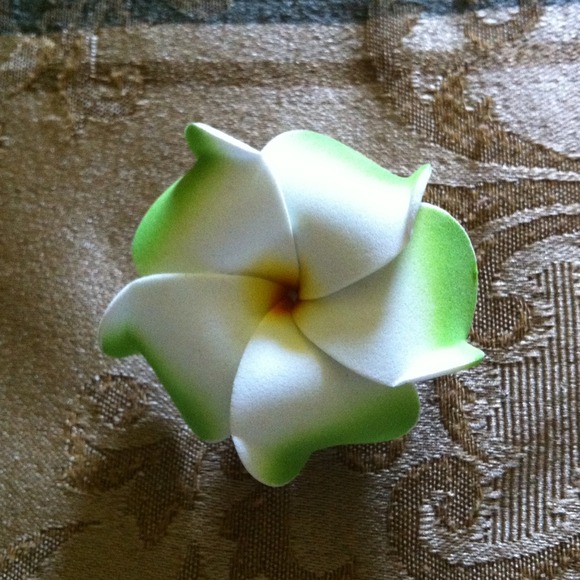 Green and white hair clip🌷