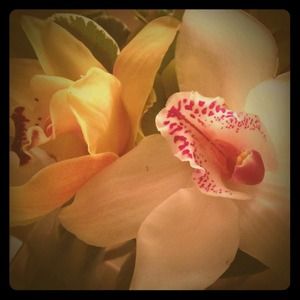 All prices are negotiable!! Everything MUST GO!