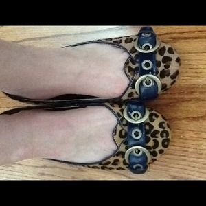 Reserved-@ Leopard flats
