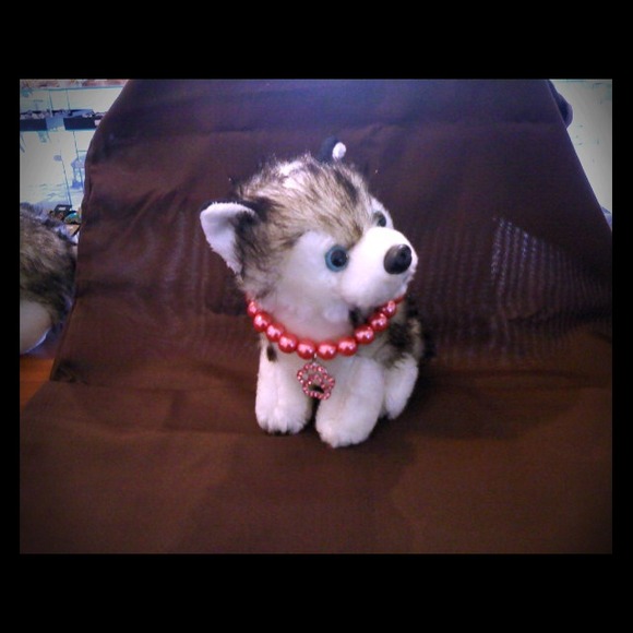 Doggie bling bling