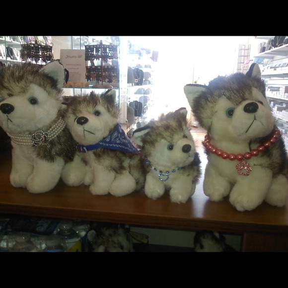 Neckless for your favorite pet - Picture 3 of 3