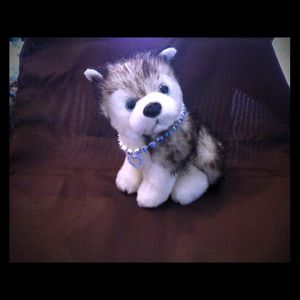 Neckless for your favorite pet