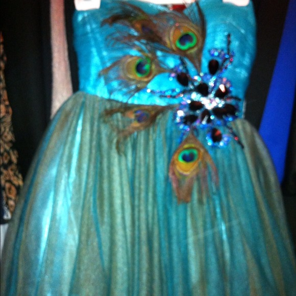 REDUCED.Peacock Dress!