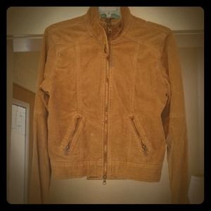 Hollister corduroy jacket