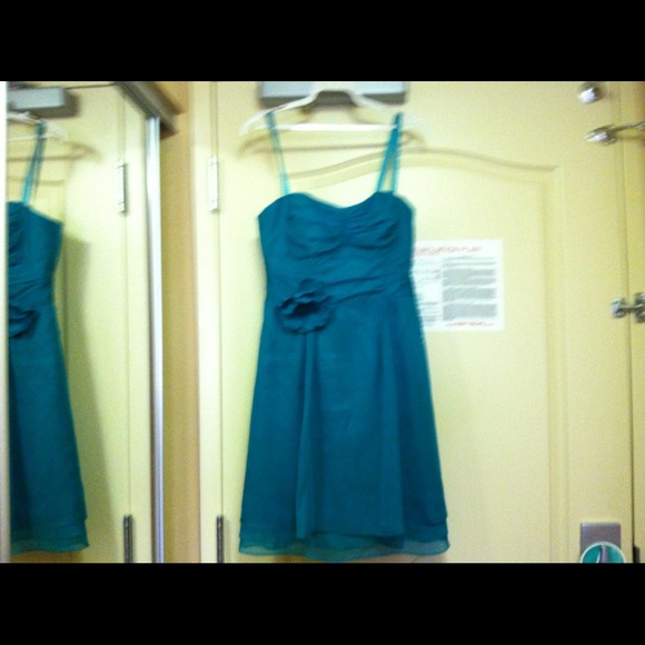 Pretty Party Dress! - Picture 2 of 4