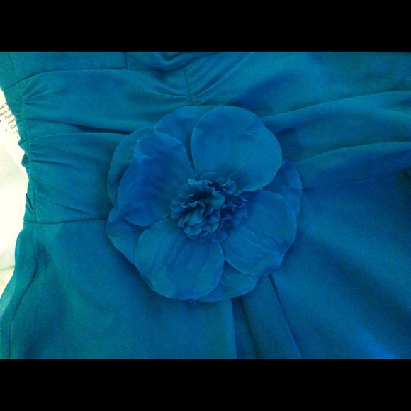 Pretty Party Dress! - Picture 3 of 4