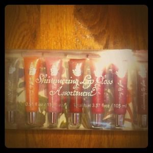 Shimmering Lip Gloss Assortment