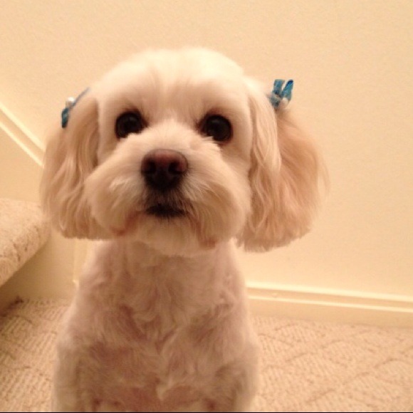 My posh buddy, Happy!