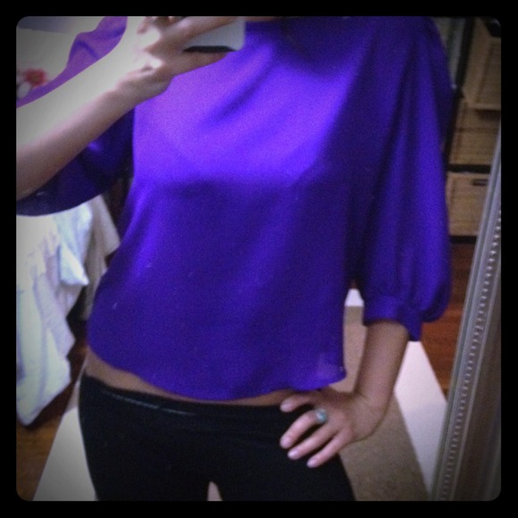 🎁SOLD! 🔔 Vintage deep plum cropped sheer top - Picture 1 of 3