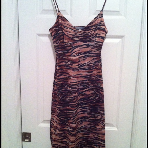 Tiger Print Dress