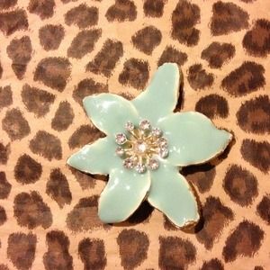 Gorgeous Tiffany blue pin