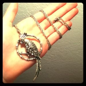 •REDUCED• Darling Silver Parakeet Necklace