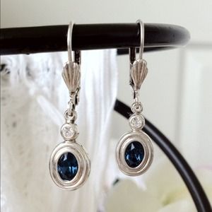 Blue Sterling Earrings 💙