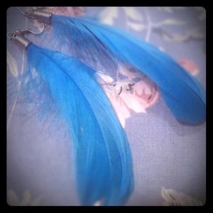 Blue Feather Earrings