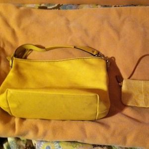 Coach purse & wallet