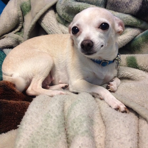 Meet teeny!!
