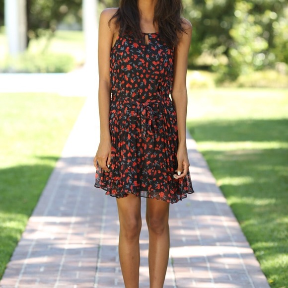 Chloe - Picture 2 of 3