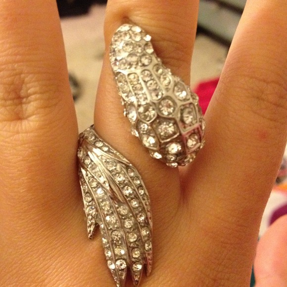 Bird ring