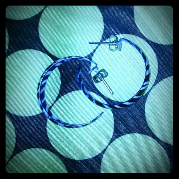 Small Hoop Earrings